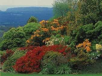 Connect Coaches Garden Tours Image -62b99291d9661